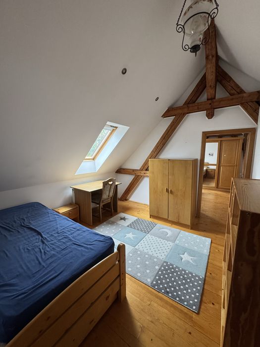 De închiriat direct de la proprietar- Casa spatioasa