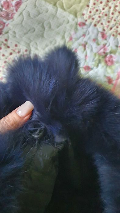 Нова дамска шапка естествен косъм лисица