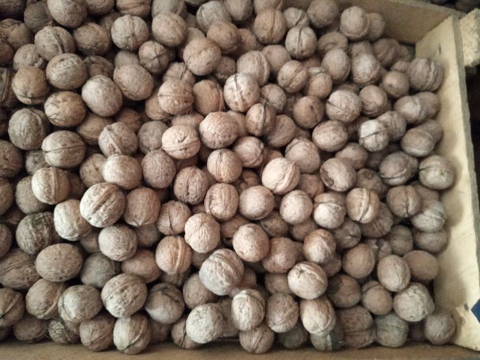 Грецкие орехи местные