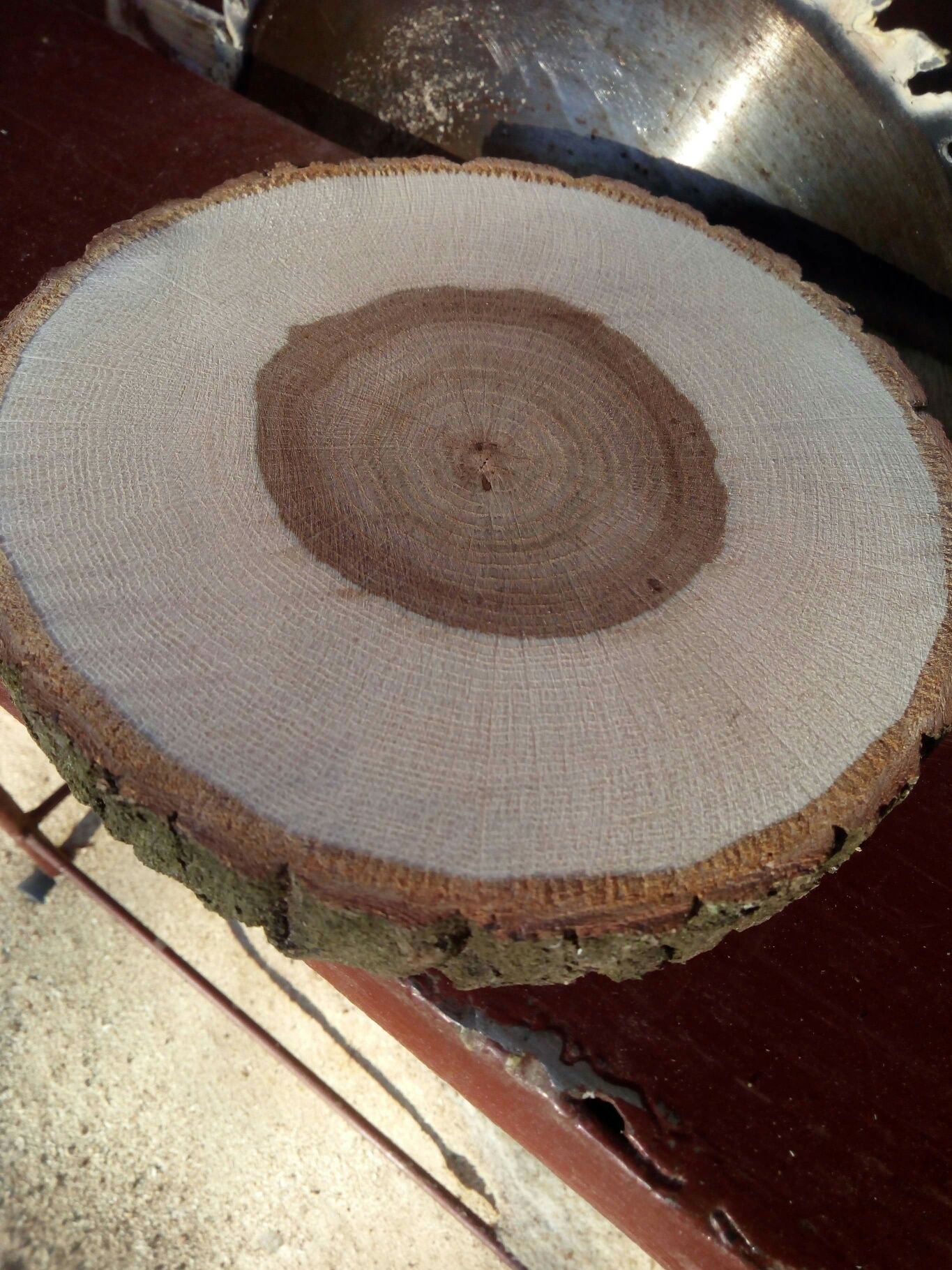Rondele din lemn masiv mai multe esențe