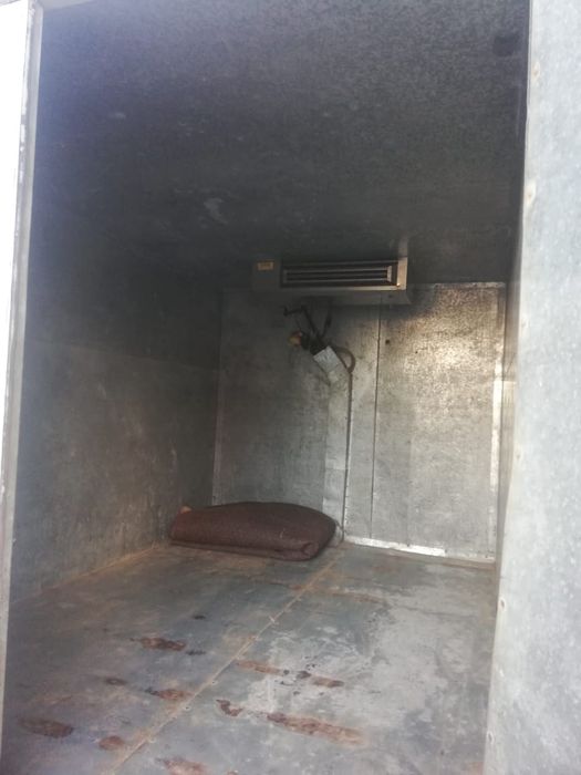 Газель термабудка