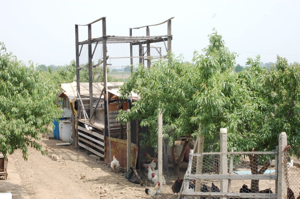 Отдавам овощна градина дългосрочно