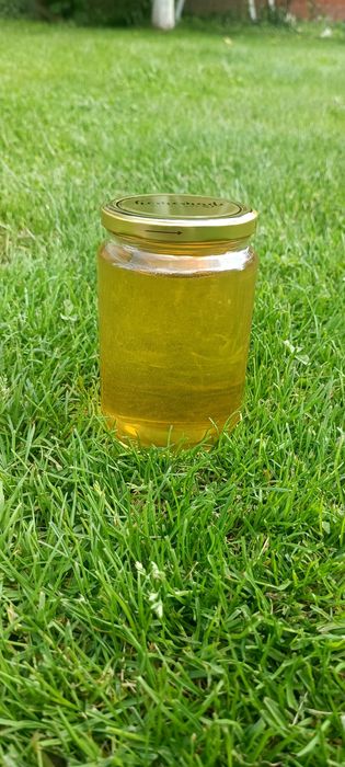 Miere de salcam / rapiță / poliflora