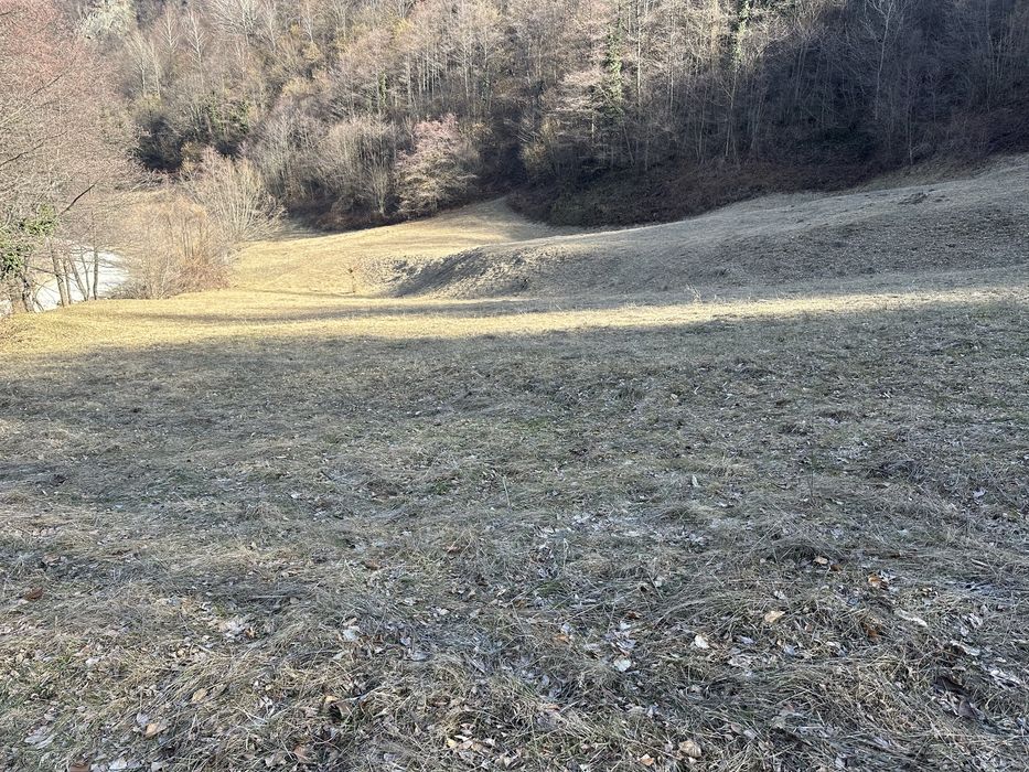 Vand Teren Extravilan Fanet Valea Streiului !
