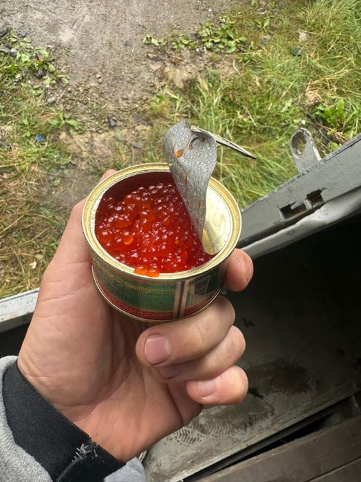 Красная черная икра