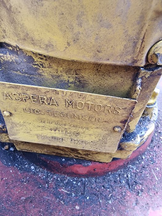 Бензинова косачка италянска