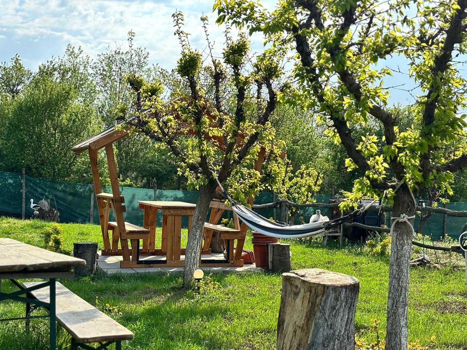 De vanzare cabana cu livada/schimb