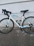 Cursiera Bianchi