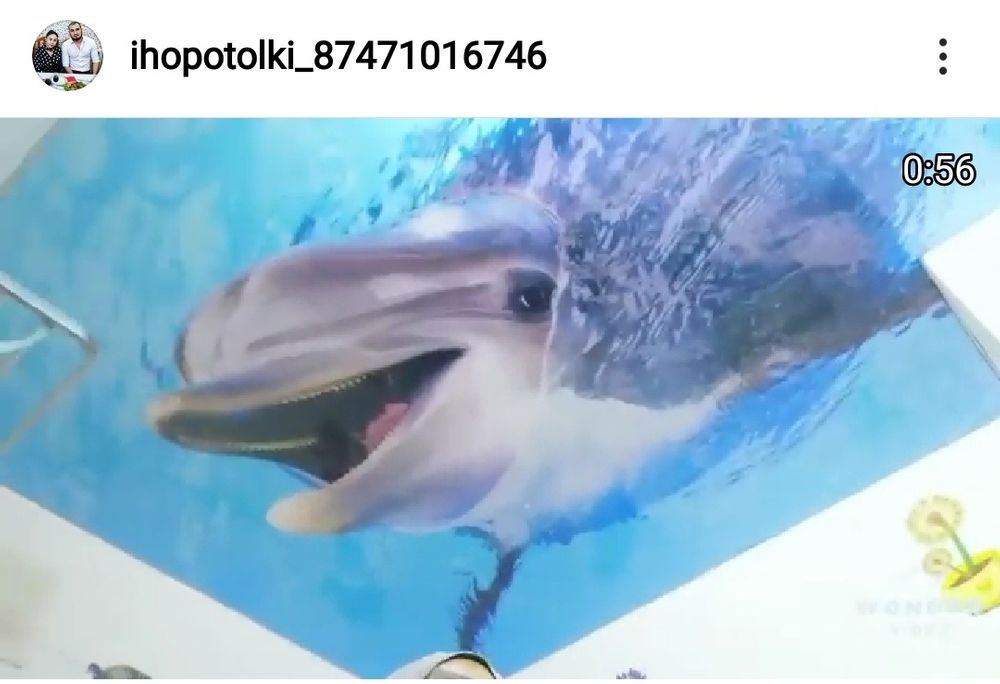 Натяжные потолки не дорого