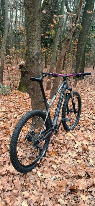 Sprint Apolon 27.5 19"/L / RS Sector 130mm TK Gold