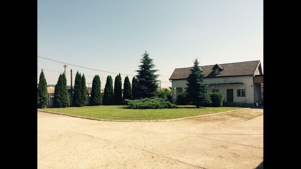 Teren de vânzare !!!