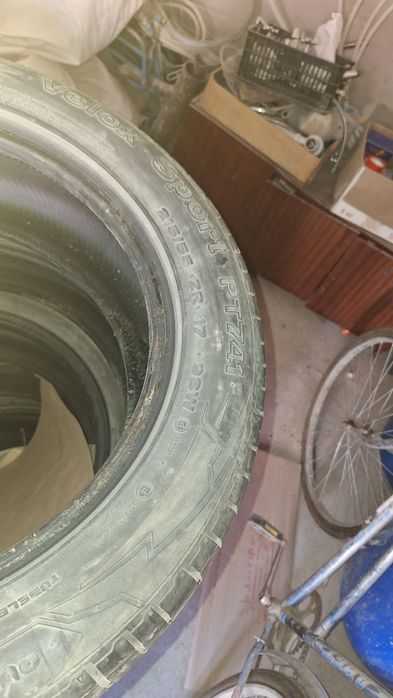 Қыстық балон   шипобый емес