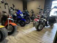 scuter electric model cu cartelă