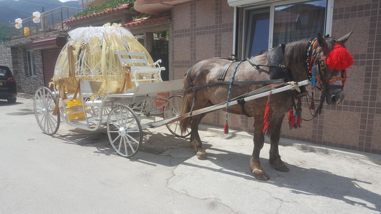 Каляска под наем за сватби и други тържества.