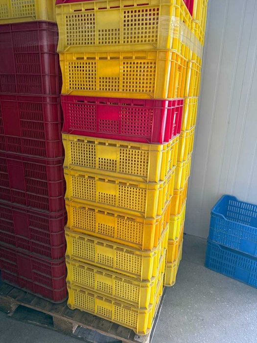 Ящики, Sariq Qizil Kõk