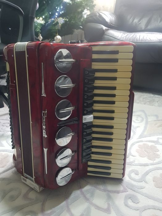 Acordeon parrot in perfecta stare de functionare