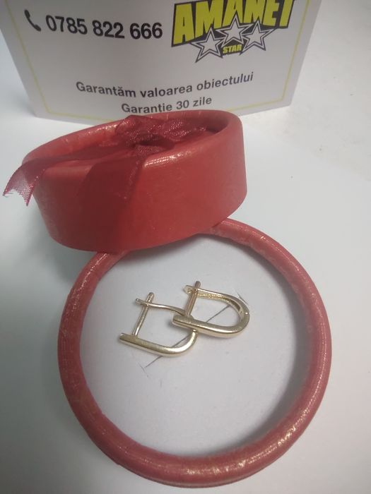 Cercei aur 14k (efn)