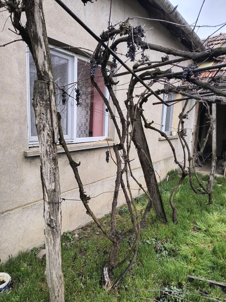 Vand casa in Boiu jud Bihor