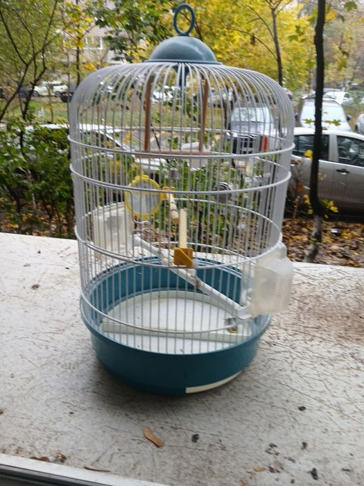 Colivie , cușca și accesorii in stare buna