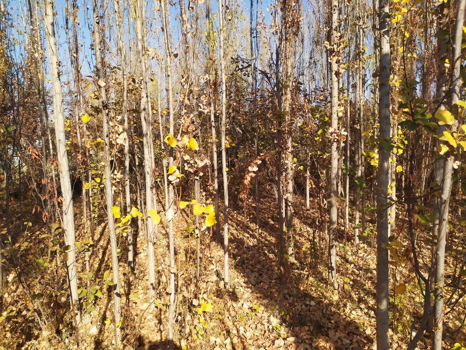 Продам участок под строительство .