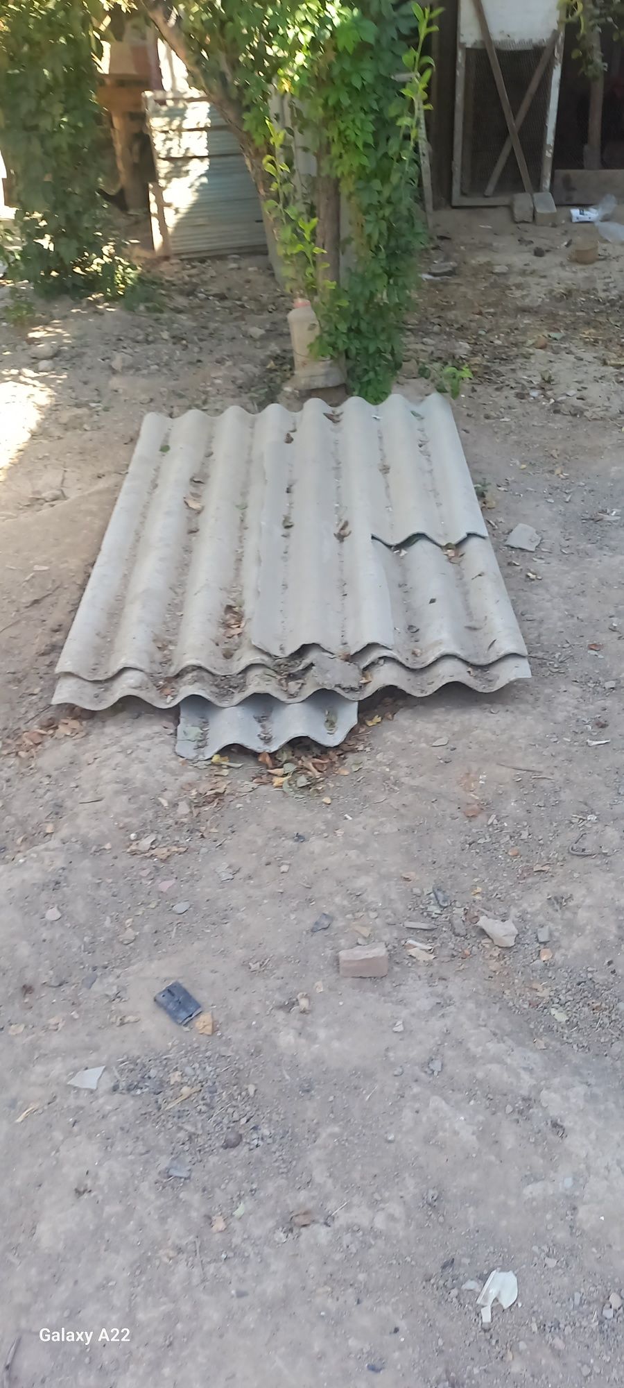 Том учун шипирлар