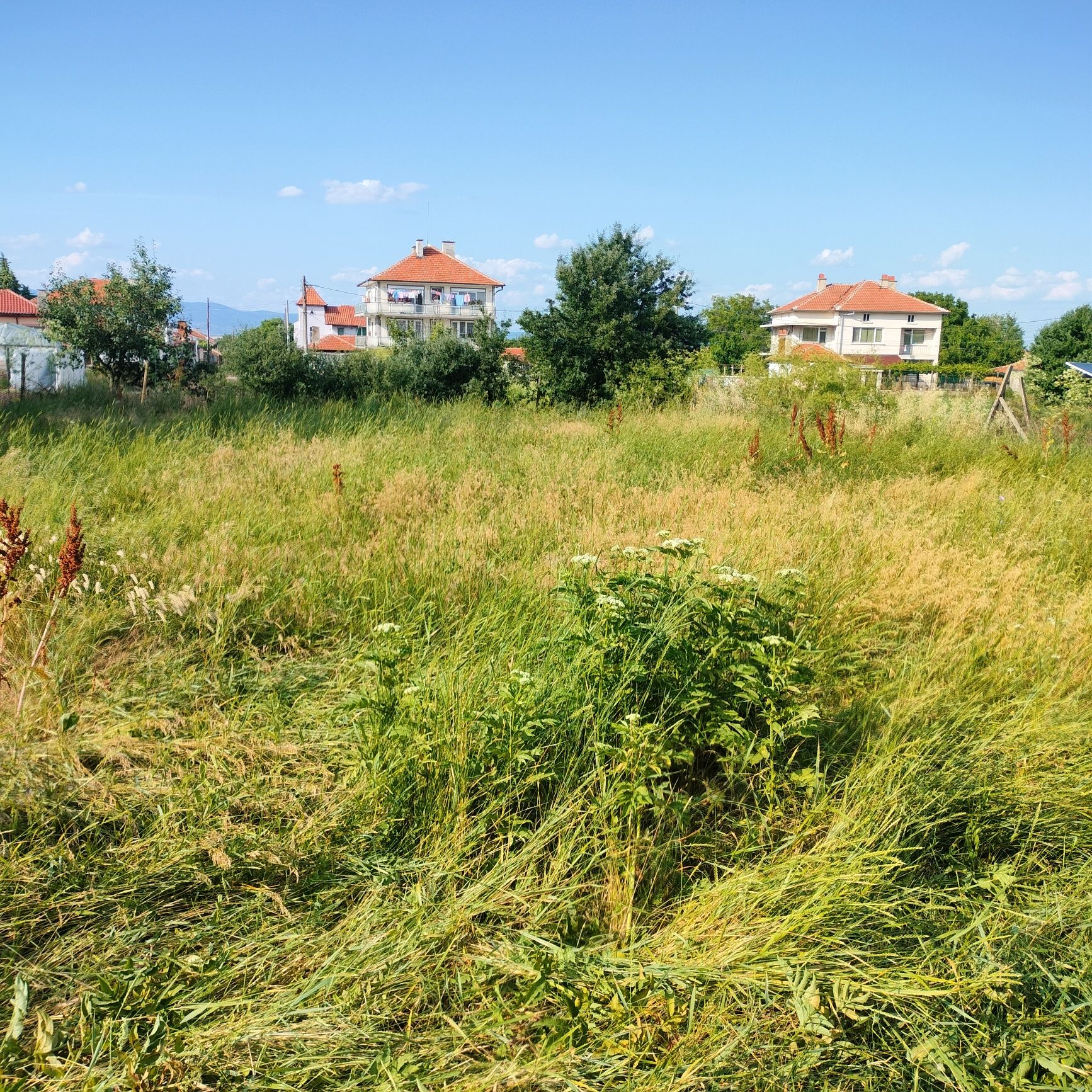 Косене, рязане, почистване