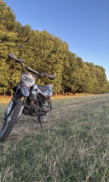 MotoCross  250cc