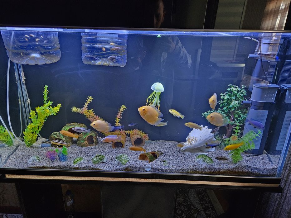 Akvarium 300 ltr