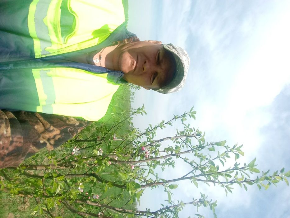 обрезка плодово-ягодных деревьев. Удаление старых деревьев.