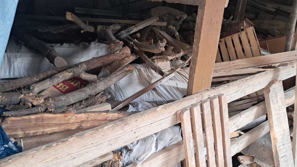 O'tin bor bitta hazel chiqadi.