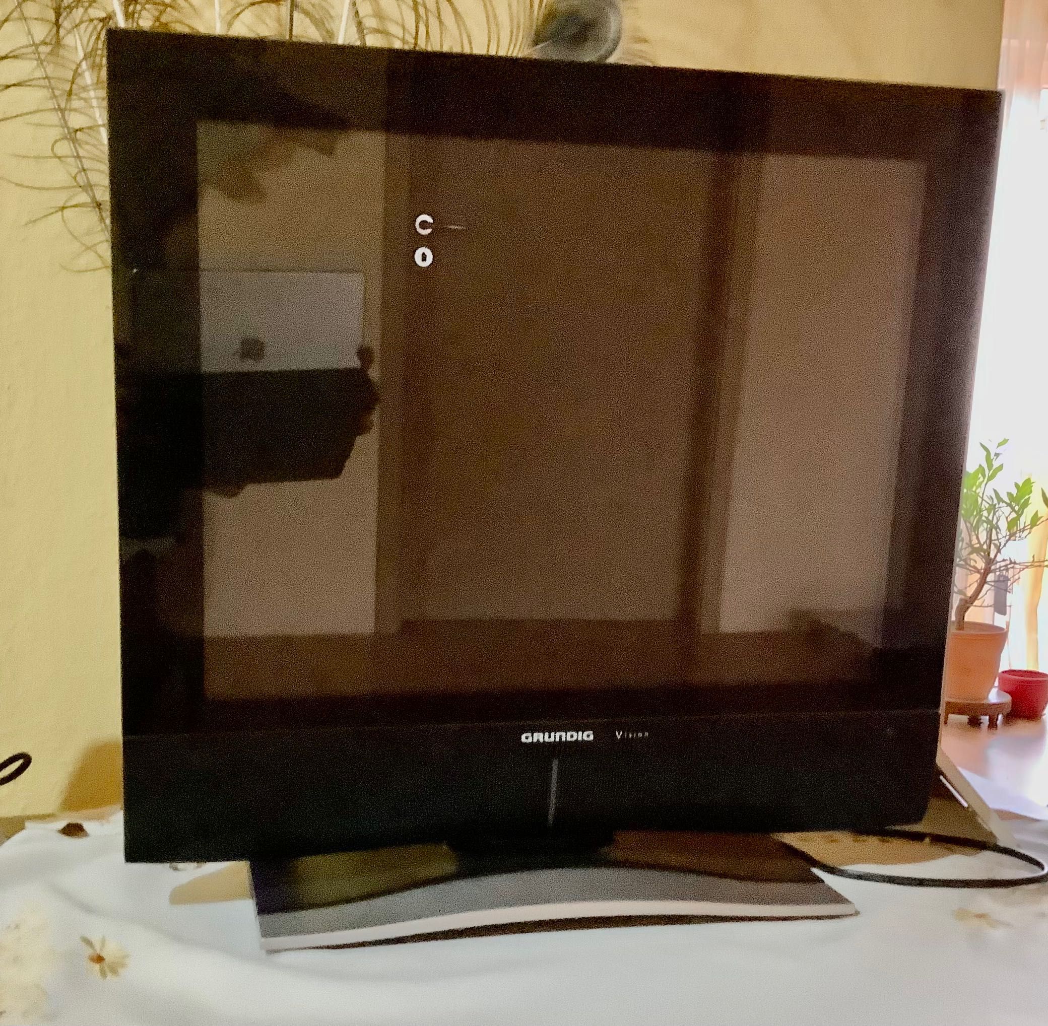 Televizor Grundig Vision 20 LCD, 50,8 cm (20 Zoll)