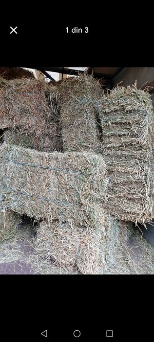 Vând Baloții de fan