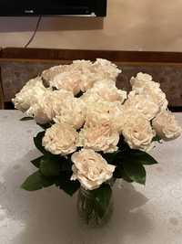 Белые розы 25шт, без бумаги.