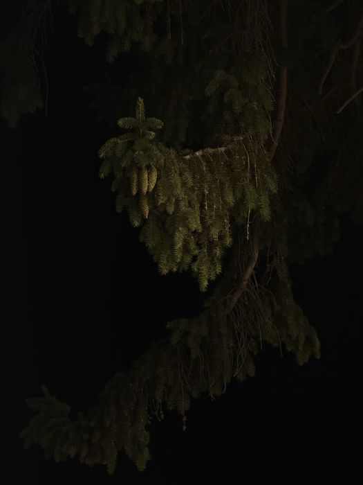 Canon EOS 1100d + Аксесоари