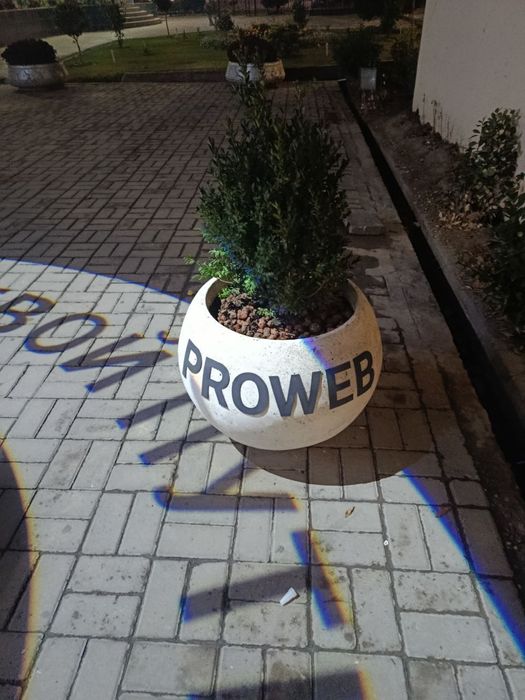 Tuvak/guldon/kashpo/betondan