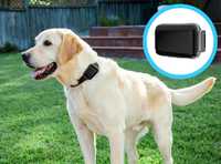 GPS за кучета - тракер / tracker с БЕЗПЛАТНО онлайн проследяване