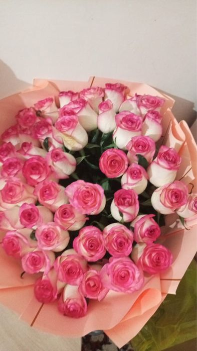 51 свежий роза розовый арзан багада