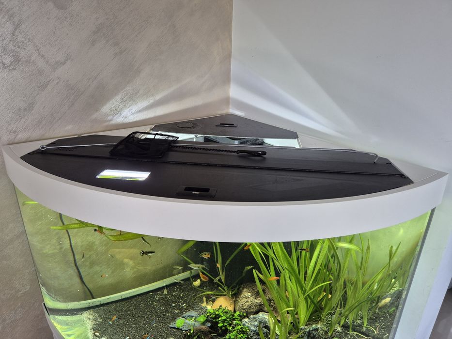 Acvariu Juwel 350 led