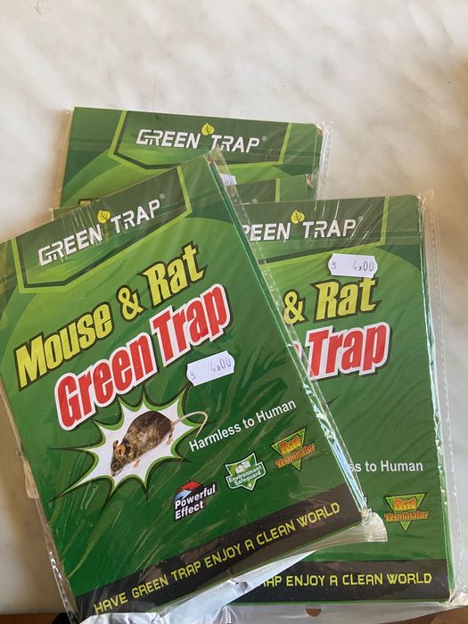 Capcane tradiționale din lemn pentru șobolani și șoareci – de vânzare!