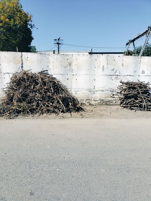 Quruq ötinlar va taxtalar bor