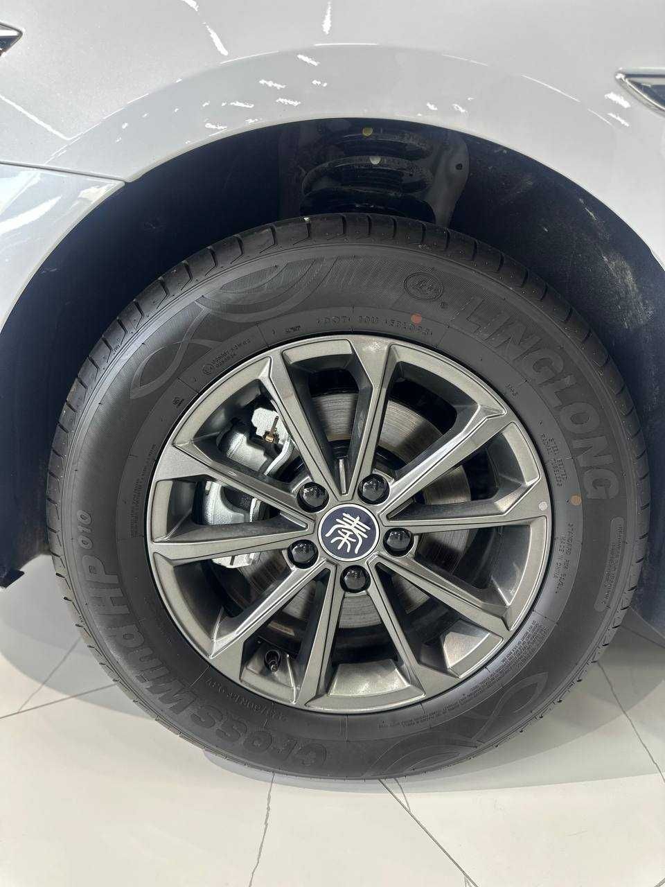 Byd Qin Plus EV 3 pozitsya 510 km nalichida