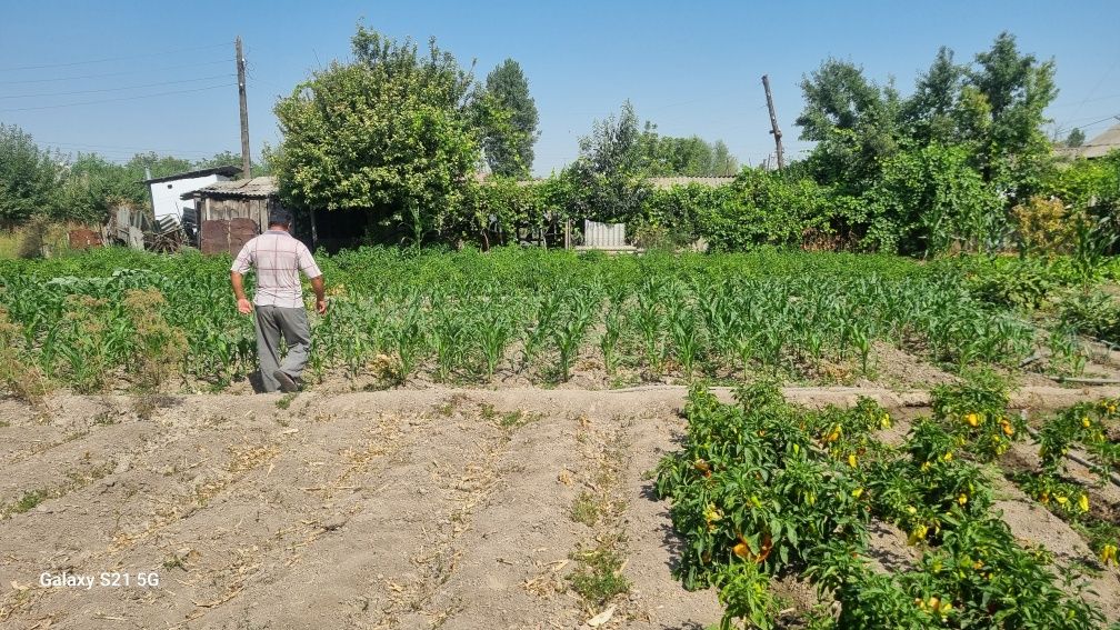 СРОЧНО. Продаётся дом с участком в уртачирчикском районе, не далек