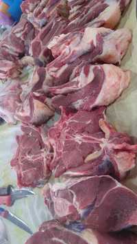 Продается мясо говядины и конины высшей категории по низким ценам