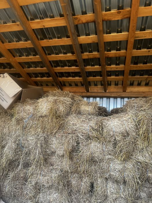 Vand baloti de lucerna