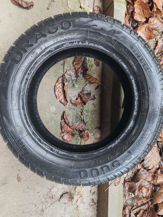 Cauciuc vara Pirelli Drago P5000 185/60/14