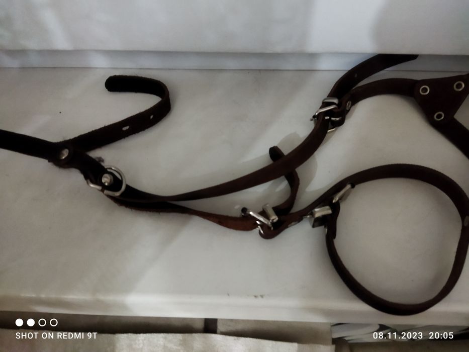 Шлейка+ намордники