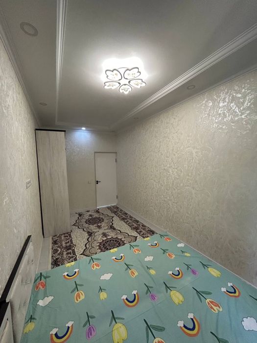 Аренда квартира болла студент