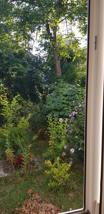 Apartament de vânzare cu 2 camere,  parter,  Strada Zamfirescu