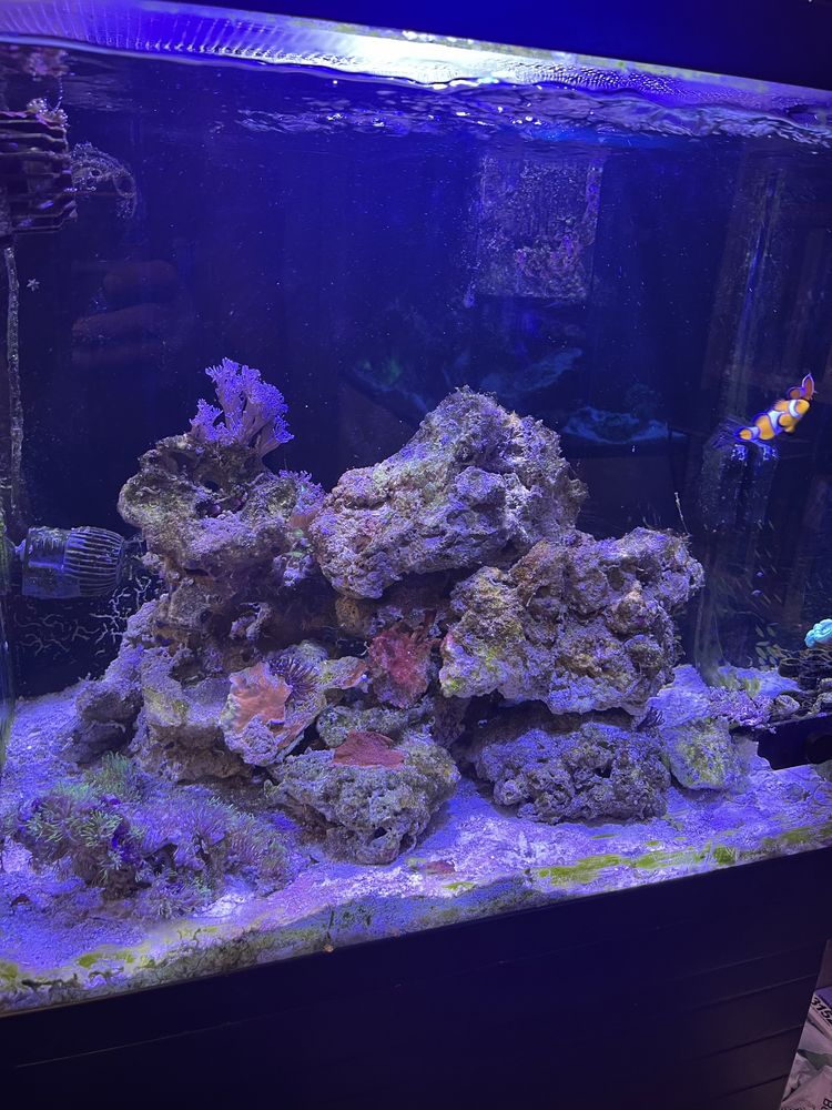 Морски аквариум