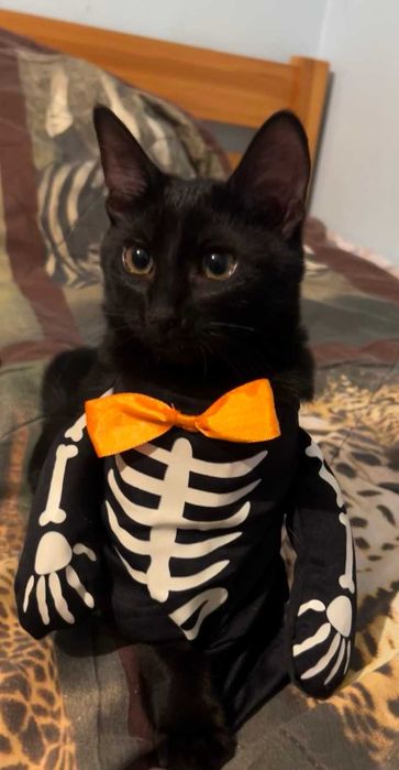 Енрике Иглесиас - Рики търси своя дом